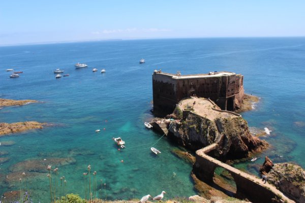 ^6D7DB3D6DC233E4F5FC6F8375392EDC19FC065B57C3308D755^pimgpsh_fullsize_distr